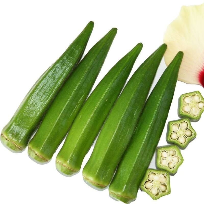 Yellow Okra Seeds Red Okra Seeds Nutritious Vegetable Seeds Balcony Garden All Seasons